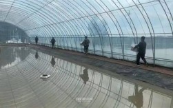 温室冬季养龙虾，关键技术有哪些？