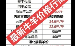 2025羊肉价格会涨还是跌？