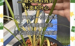 盆栽花卉尿素施肥怎么用才安全有效？
