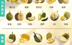 榴莲品种到底有多少？