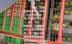 2025牛蛙价格行情会涨还是会跌？