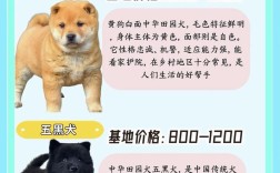 哪些狗品种能当摇钱树？