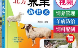 小尾寒羊养殖技术核心要点有哪些？