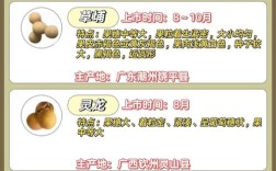 我国龙眼品种究竟有多少？