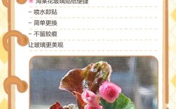 玻璃海棠有哪些常见品种？