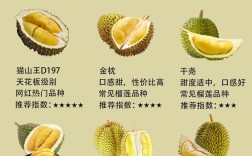 现在榴莲是什么品种？