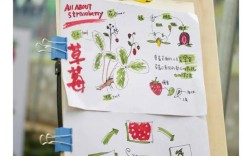 北京草莓种植技术怎么学？关键要点有哪些？