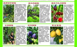 亩产2万收益的种植品种是什么？