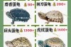 2025年龟价为何波动这么大？