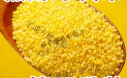 小米谷子2025价格表