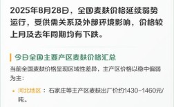 2025年麸子价格会涨还是跌？