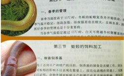 蚯蚓养殖技术有哪些关键要点？