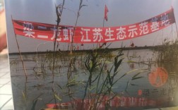 大闸蟹塘套养龙虾，技术要点有哪些？