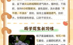 栀子花怎么培育新品种