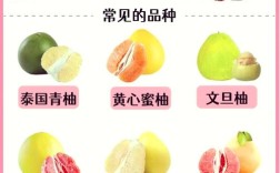 柚子品种这么多，哪种最适合你？