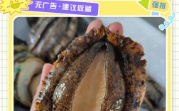 鲍鱼养殖技术如何有效提升？