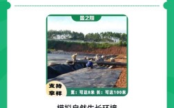 泥鳅批发价多少钱一斤？行情如何？