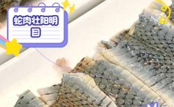 菜花蛇价格及养殖方法