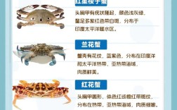 即食小螃蟹是哪种蟹？