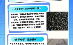 洋葱种植育苗有哪些关键技术？