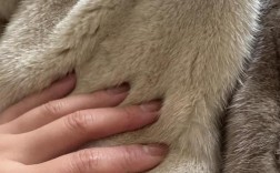 2025狐狸皮最新价格多少？