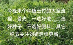 玉竹种植方法有哪些关键技术要点？