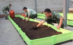 蚯蚓室内高效养殖技术怎么掌握？