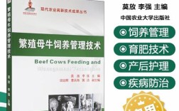 基础母牛饲养管理技术有哪些关键要点？