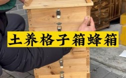 蜜蜂格子箱养殖技术视频要点有哪些？