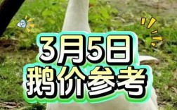 2025成品鹅的价格