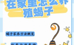 昆明蝎子养殖如何致富？技术要点有哪些？