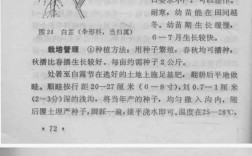 中药材种植新技术有哪些关键要点？