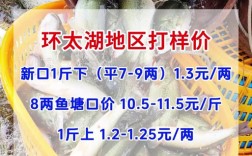 加州鲈鱼2025年价格