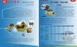 牛饲料牌子与养牛技术如何高效结合？