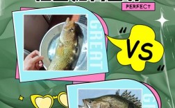 桂鱼野生自然繁殖技术如何突破？