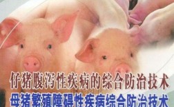 如何有效防治猪繁殖障碍病？