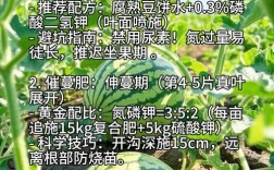 温室西瓜水肥管理技术要点有哪些？