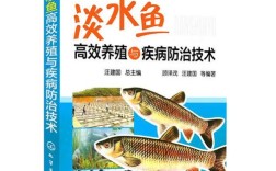 鲈鱼养殖技术有哪些关键要点？