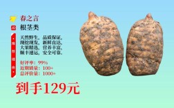 天麻子价格一斤多少钱？