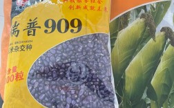 瑞普909玉米种价格