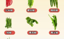 所有辣椒品种图片大全，有哪些常见品种？