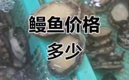 2025杭州鳗鱼价格会涨还是跌？