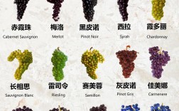 公认口感好的葡萄品种有哪些？