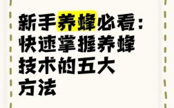 农广天地养蜂技术有哪些要点？