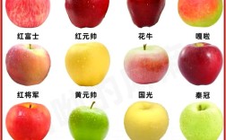早熟苹果品种有哪些？