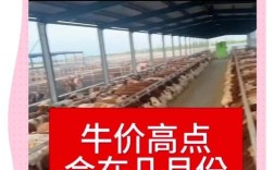 2025年黄牛价格为何下降？