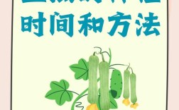 丝瓜怎么种植技术视频