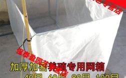 网箱水花鱼苗培育技术要点有哪些？