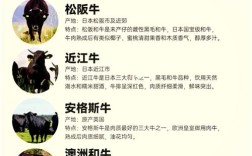 肉牛品种改良成效如何？优化方向在哪？