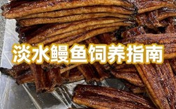 海南淡水鳗鱼养殖技术难点有哪些？